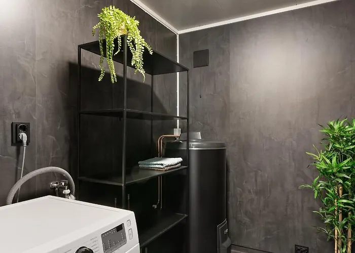 And Newly Renovated For Rent